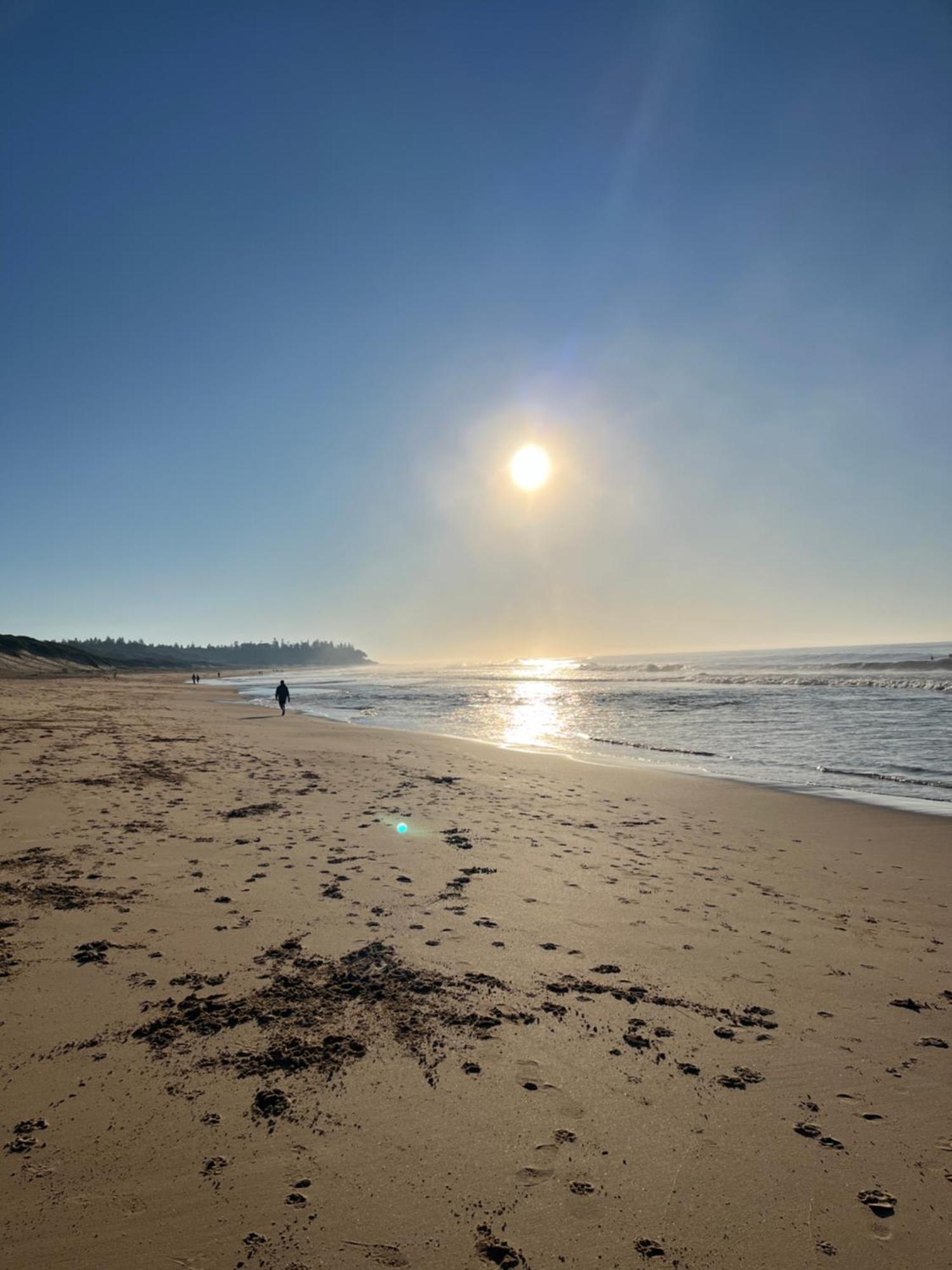 Blue Lagoon Beach Resort Bateau Bay Exteriör bild