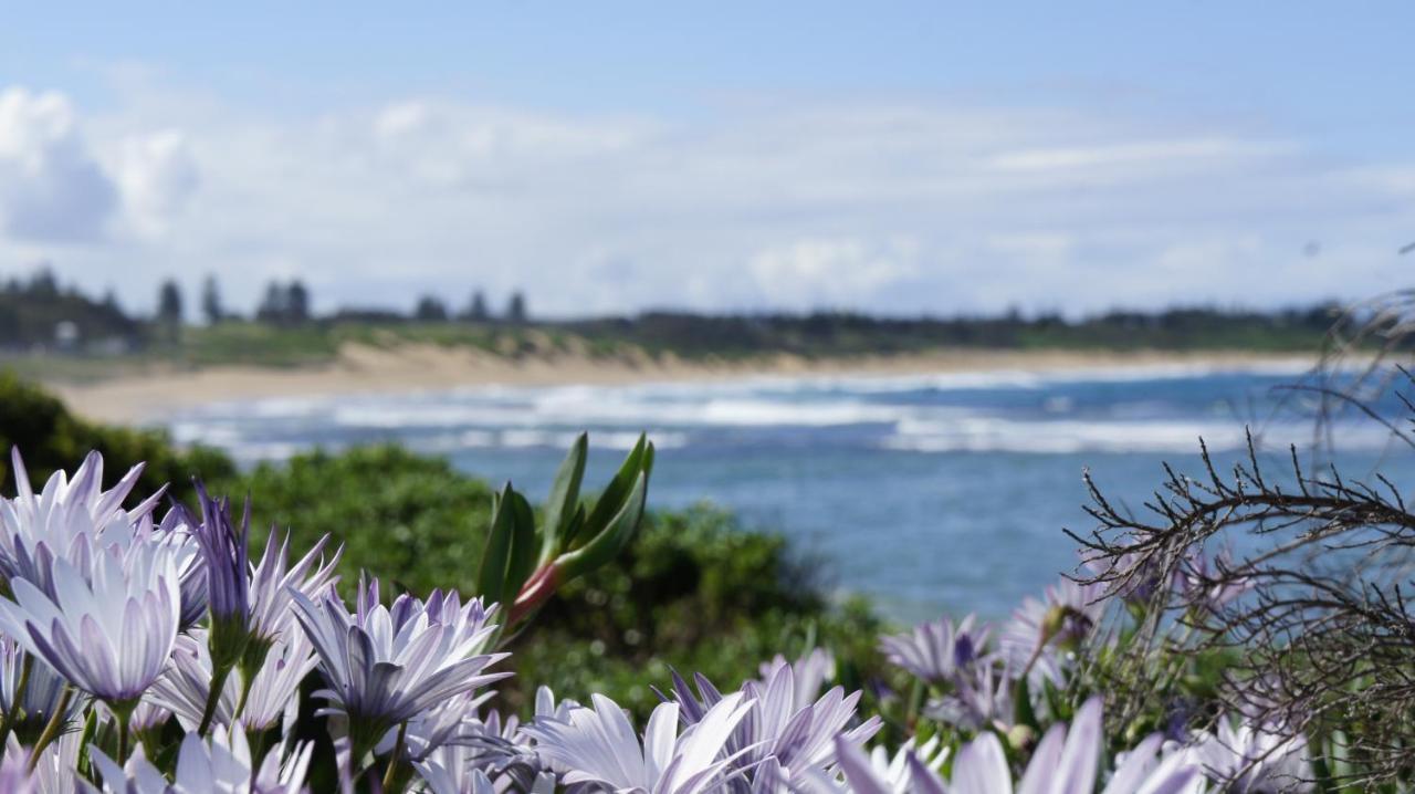 Blue Lagoon Beach Resort Bateau Bay Exteriör bild